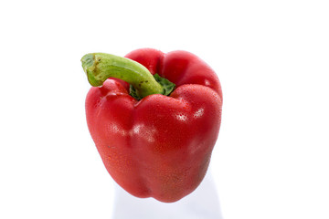 Sweet pepper