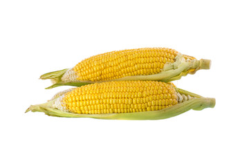 large corn