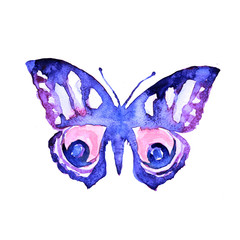 Naklejka premium butterflies design