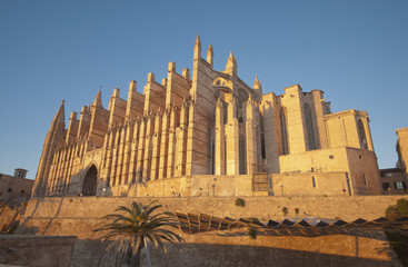 Catedral Palma Mallorca