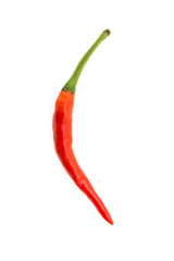 Chilli isolated on white