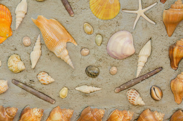Starfish and shells to decorate on cement wall