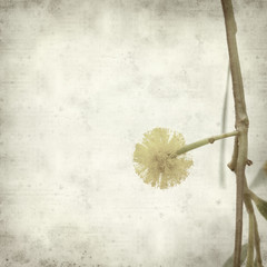 textured old paper background