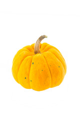 Pumpkin isolated on white