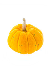 Pumpkin isolated on white