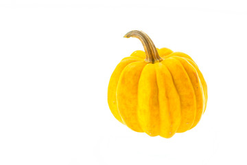 Pumpkin isolated on white
