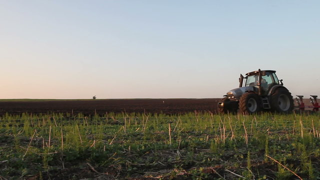 Tractor plowing the black earth plow field at sunset