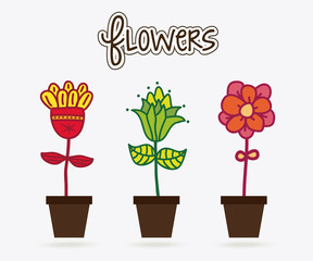 flowers design