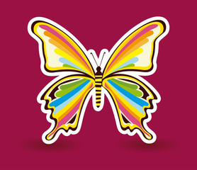 Butterfly design