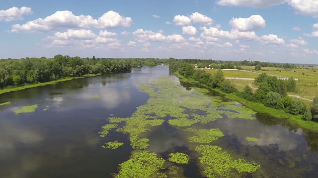 Beautiful river landscape with plants and  sky. Aerial