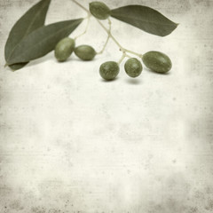 textured old paper background