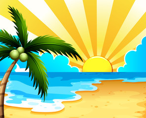 Fototapeta na wymiar A beautiful beach with a coconut tree