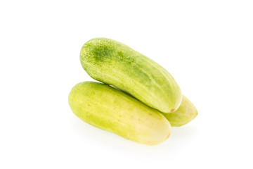 Cucumber