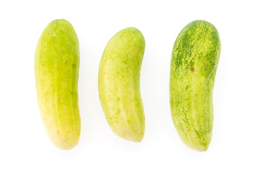Cucumber