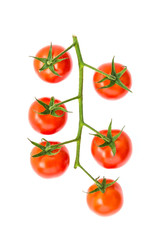 Tomato isolated on white