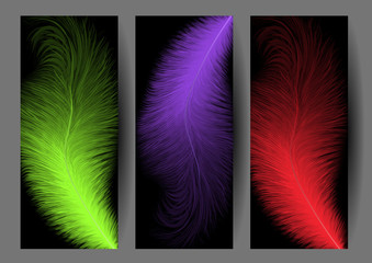 Abstract colorful feather banners