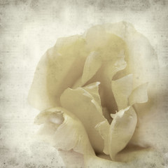 textured old paper background