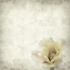 textured old paper background © Tamara Kulikova