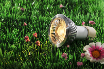 COB-LED