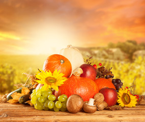 Autumn harvested fruit and vegetable on wood