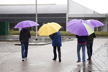 four people under colorful umbrella's