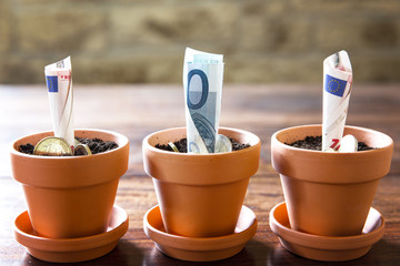 Euro Banknoten und Münzen in Blumentöpfe gepflanzt