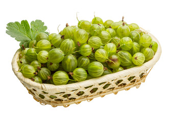 Gooseberry