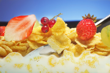  corn flakes and fruit