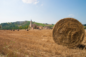 Fieno in estate