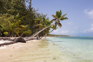 Obraz premium Tropical Beach