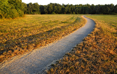 Weg im Abendlicht