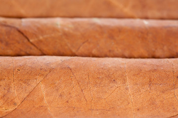 Genuine Cuban cigars