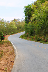 Curve Road between the trees