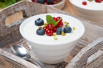 natural yogurt with fresh berries in a bowl on wooden tray