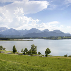 Blick auf den Hopfensee