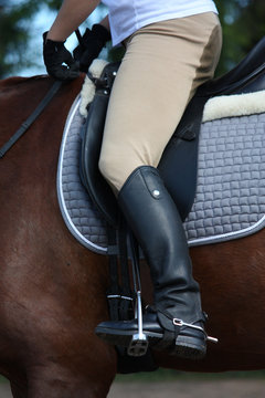 Close up of rider leg