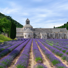 Abbey of Senanque