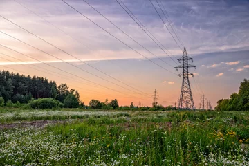 Foto op Canvas High voltage power line in flower meadow © mahout