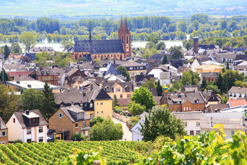 Geisenheim (Sommer 2014)