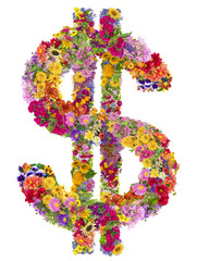 Dollar sign from  summer flowers