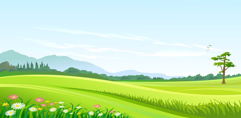 Obraz na płótnie Canvas Green Hills , Blue Sky and Lonely Pathway