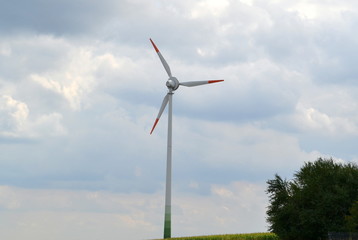 Elektrownia wiatrowa © Senatorek