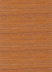 Wood Texture with Bump - High Resolution Scan