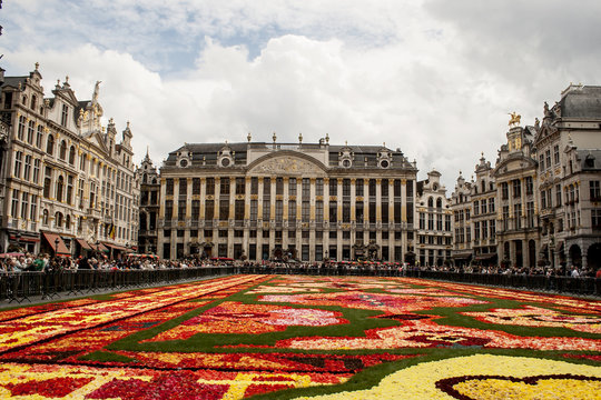 BRUSSELS, AUGUST 2014 : Flower Carpet in Grand Place on August 1