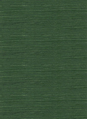 Wood Texture with Bump - High Resolution Scan