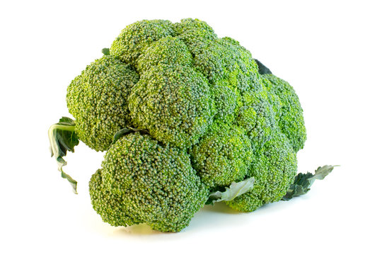 Brocolli front isolated on white