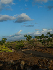 Hawaii Big Island Sunset Palms Moon-10
