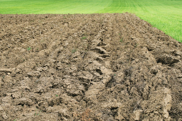 champ agricole labouré