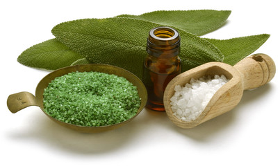 قصعين طبي Salvia officinalis Echter Salbei Шалфей Ryytisalvia © Comugnero Silvana