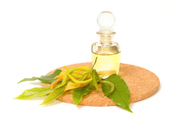 ylang-ylang aroma massage oil